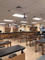 Mrs Smith’s Biology cell models